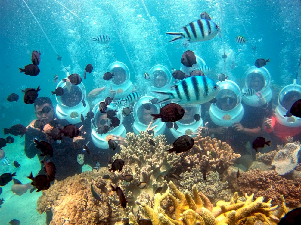 Joining a group sea walking tour in Phu Quoc is ideal for individuals and small groups on a budget
